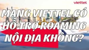 mang-viettel-co-ho-tro-roaming-noi-dia-khong