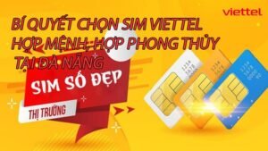 bi-quyet-chon-sim-viettel-hop-menh-hop-phong-thuy-tai-da-nang-0
