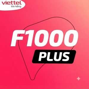 goi-cuoc-f1000plus-cho-doanh-nghiep