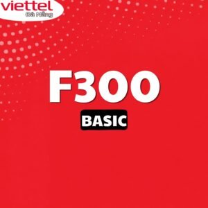 goi-cuoc-f300basic-cho-doanh-nghiep-viettel.danang.vn
