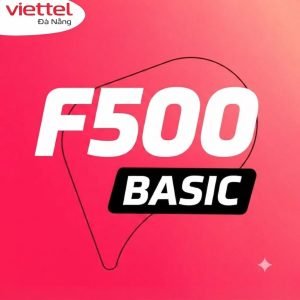 goi-cuoc-f500basic-cho-doanh-nghiep