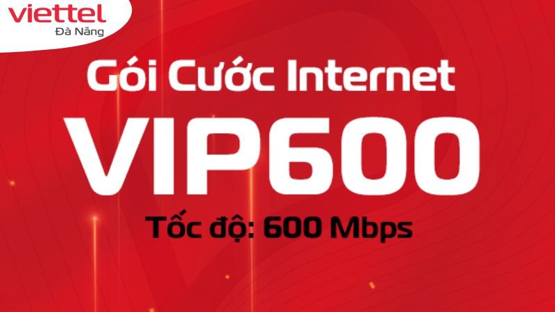goi-cuoc-vip600-cho-doanh-nghiep (1)