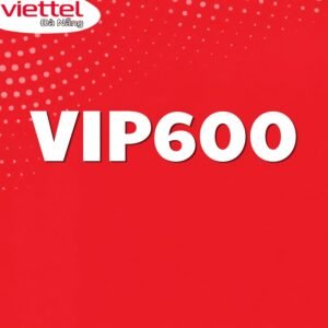 goi-cuoc-vip600-cho-doanh-nghiep-viettel.danang.vn