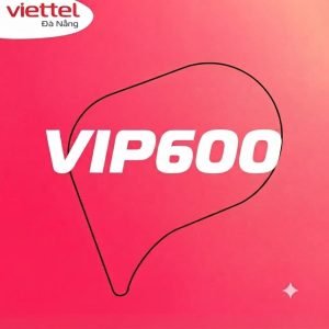 goi-cuoc-vip600-cho-doanh-nghiep
